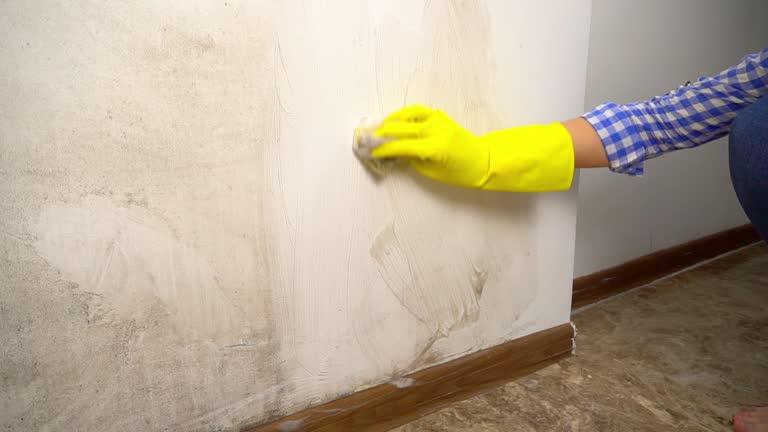 Best Air Quality Testing for Mold Spores  in Yamhill, OR
