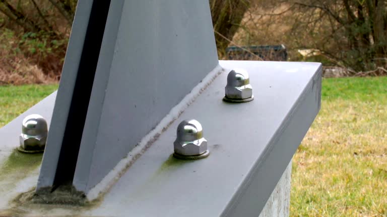 Best Black Mold Removal  in Yamhill, OR